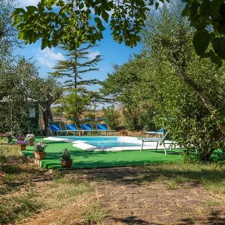 La Meriggia Senigallia ベッド・アンド・ブレックファスト 4*