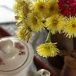 La Meriggia Senigallia Couette-café 4*