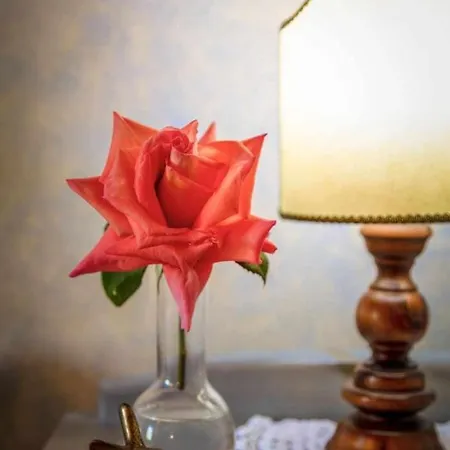 Bed & Breakfast La Meriggia Senigallia