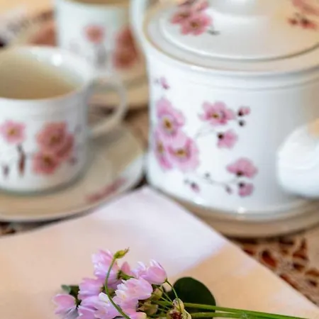 La Meriggia Senigallia Ancona