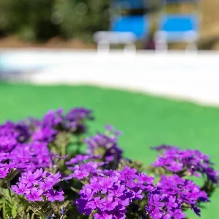 Bed & Breakfast La Meriggia Senigallia 4*